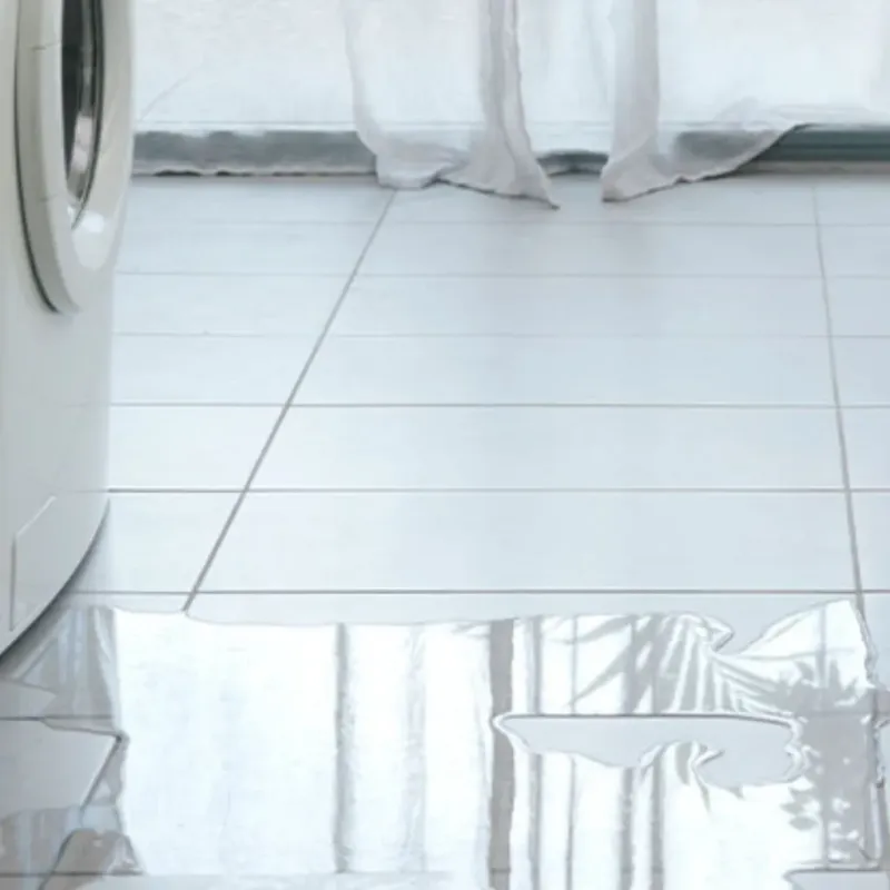 Appliance Leak Cleanup in Gold Beach, OR
